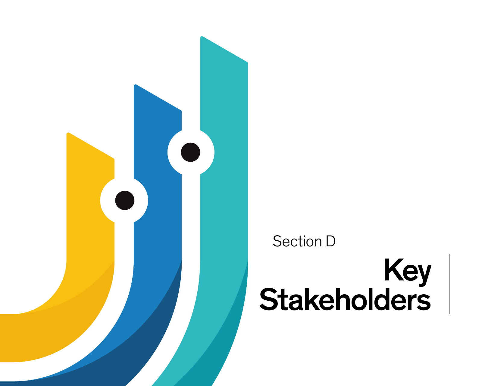 Section D divider from the report